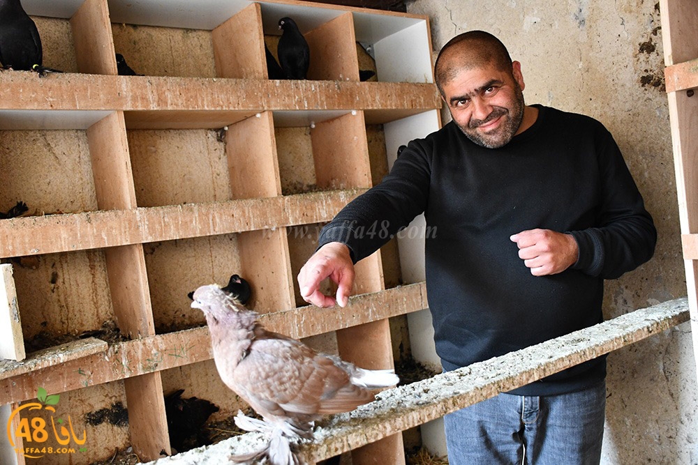 zohdi 3ashoor (57).jpeg